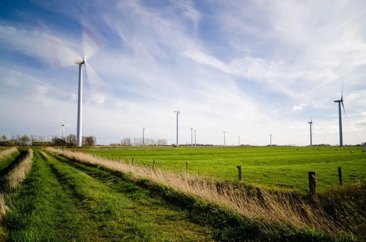 Skąd w Polsce wzięły się farmy wiatrowe