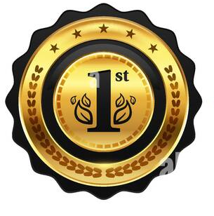 Award 5